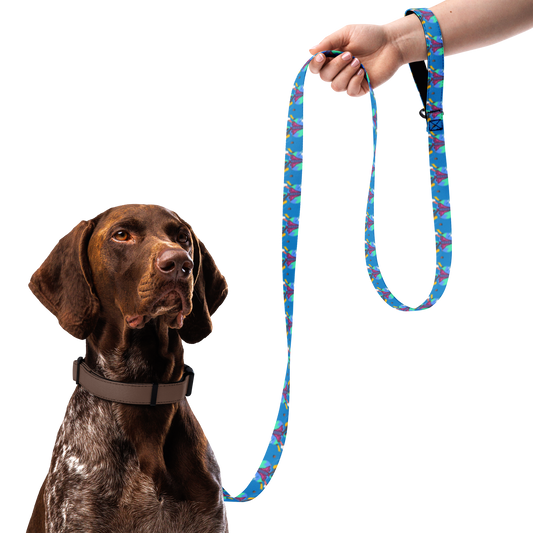 First Home Pet leash