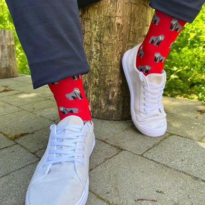 Chaussettes en bambou durable, conçues pour durer