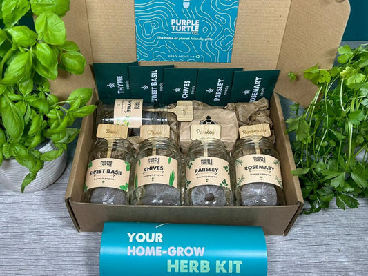 Grow Your Own Herbs Gift Set Purple Turtle Co