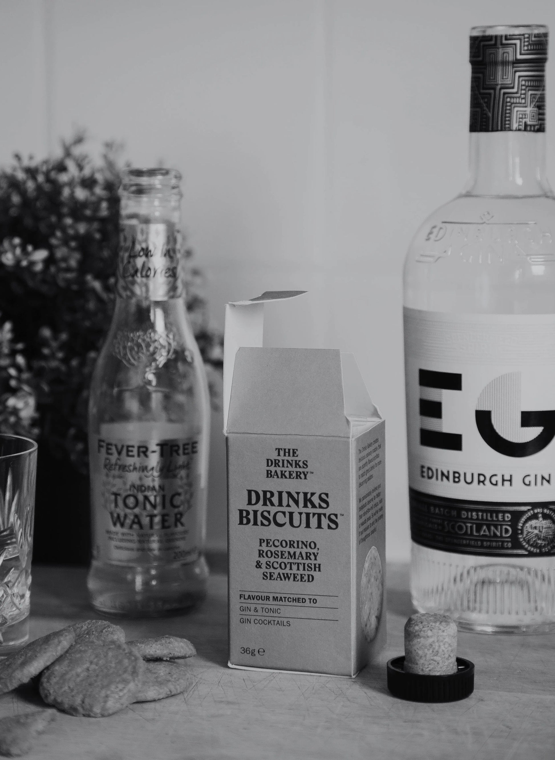 Pecorino Cheese & Rosemary Drinks Biscuits The Drinks Bakery