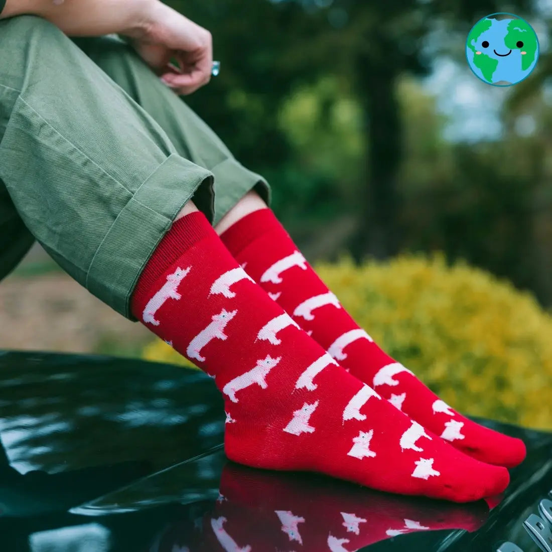 Sustainable Bamboo Socks, Made to Last Swole Panda