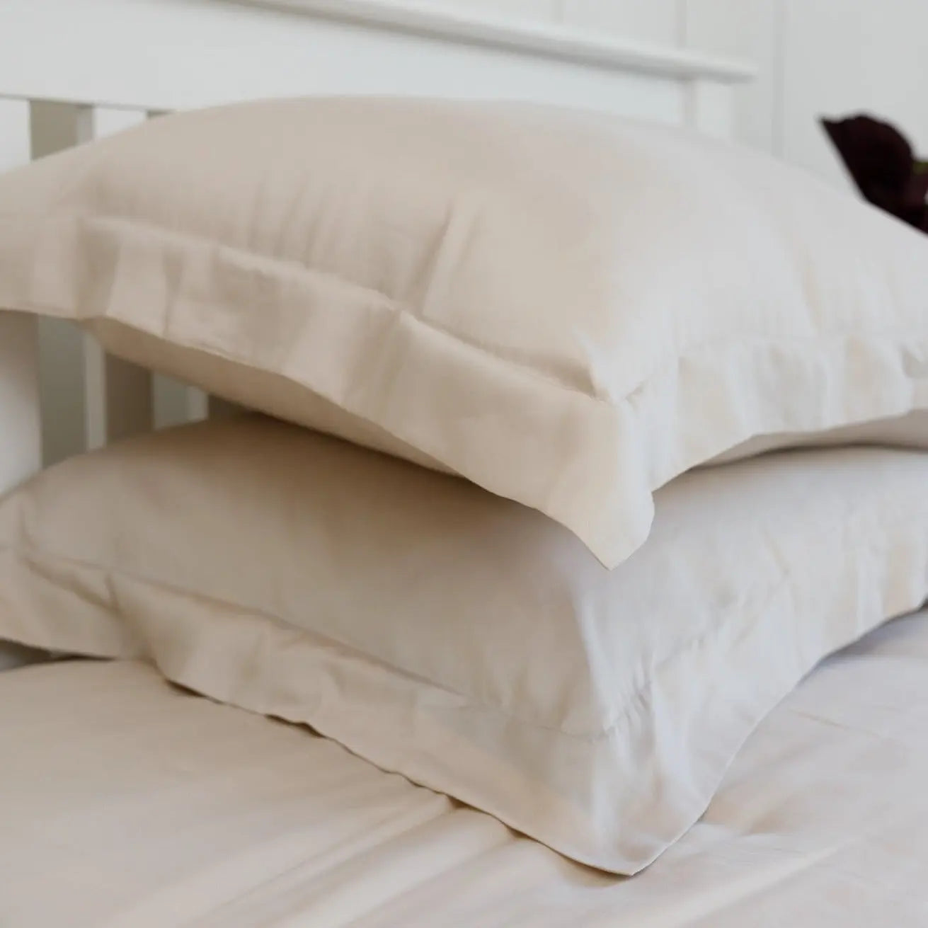 Fitted Sheet in Grey (Eucalyptus Silk) Ethical Bedding™