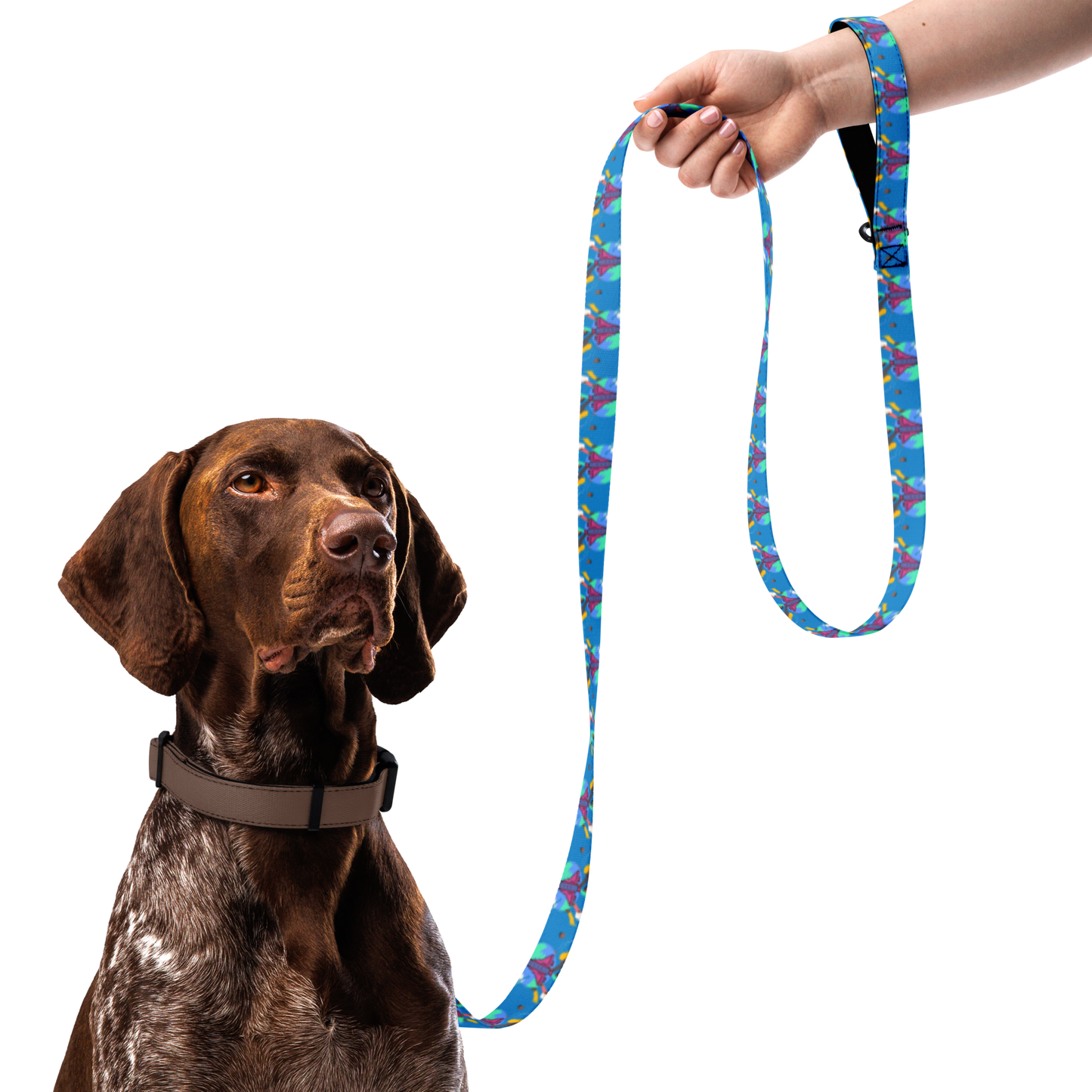 First Home Pet leash